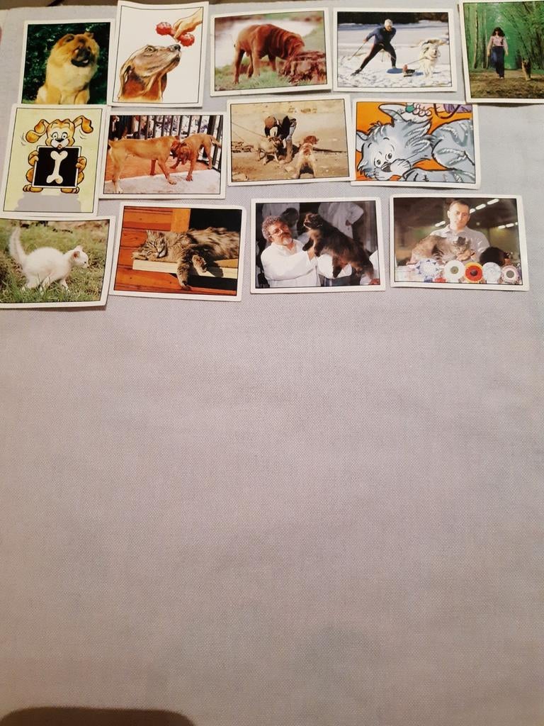 13 autocollants pour animaux de compagnie (Panini), Envoi, Comme neuf