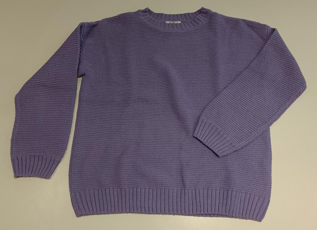 Trui besties 170, Kinderen en Baby's, Kinderkleding | Maat 170, Gebruikt, Meisje, Trui of Vest, JBC