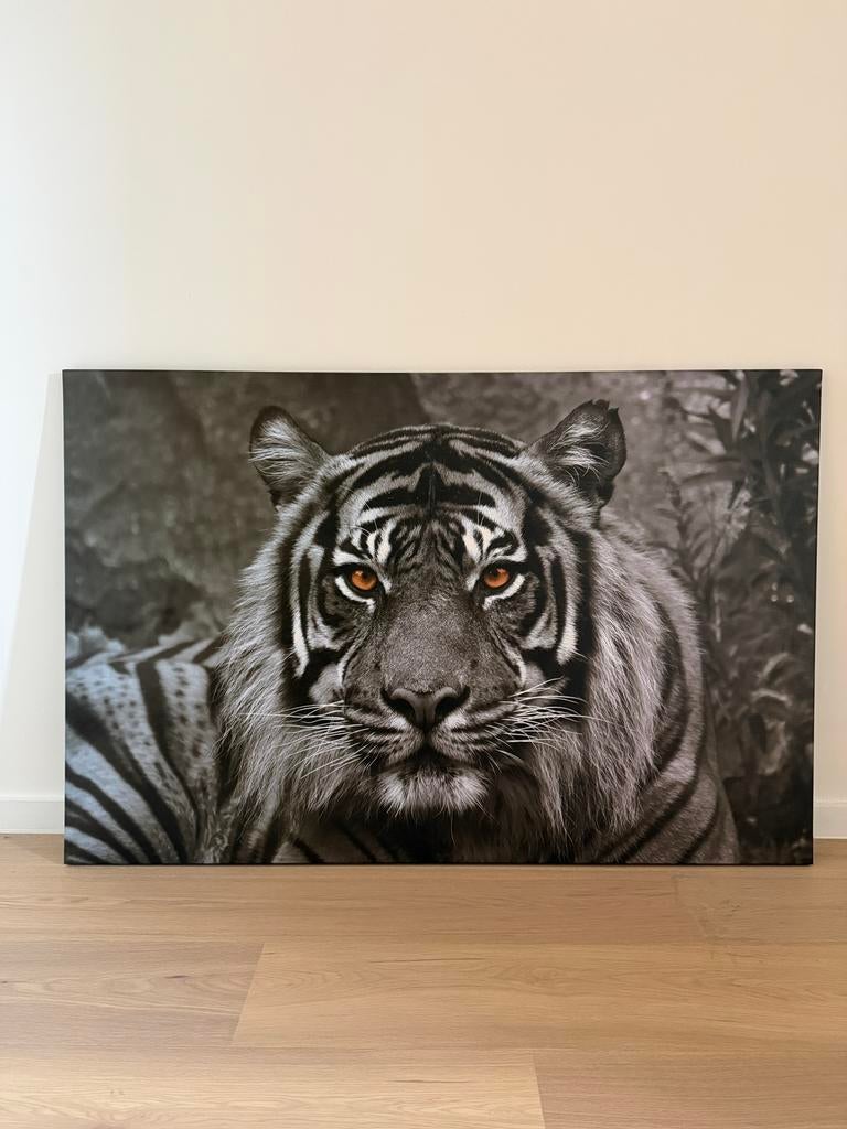 Canvas/doek tijger, Enlèvement, Comme neuf