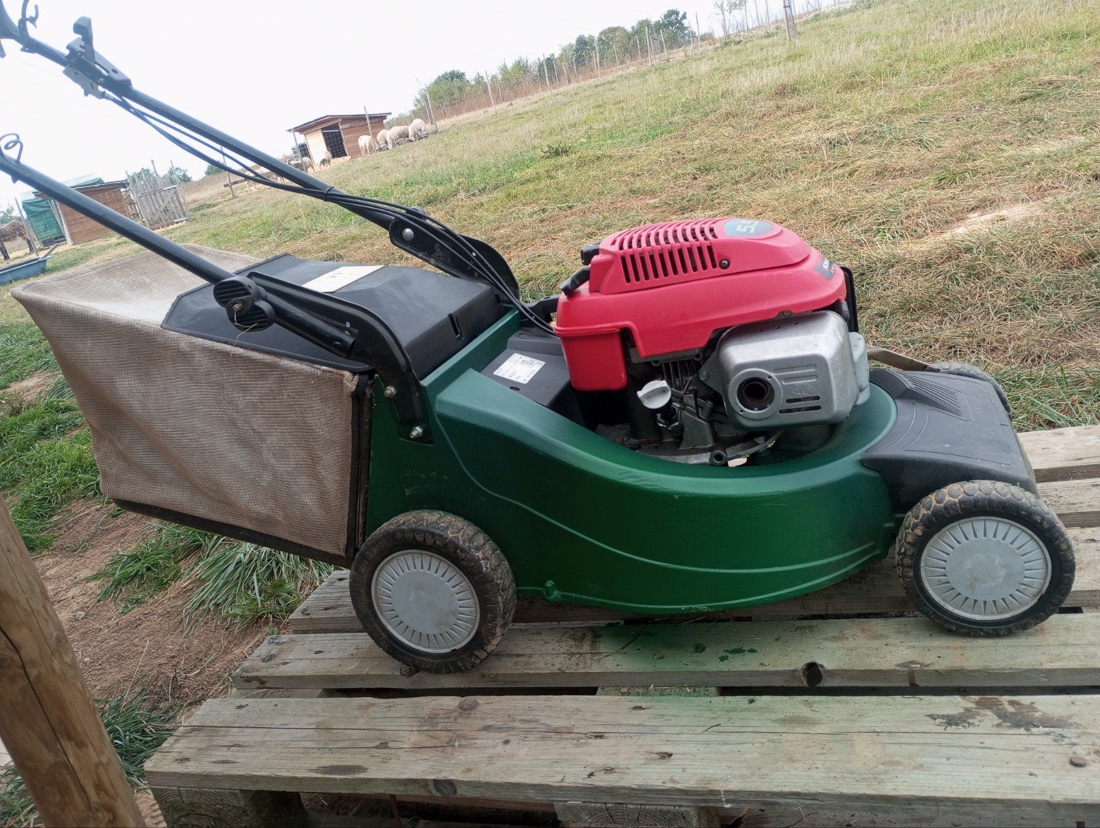 tondeuse  Honda gcv 160, modèle 5.5, Honda, Enlèvement, Bac de ramassage, Tondeuses à gazon à essence