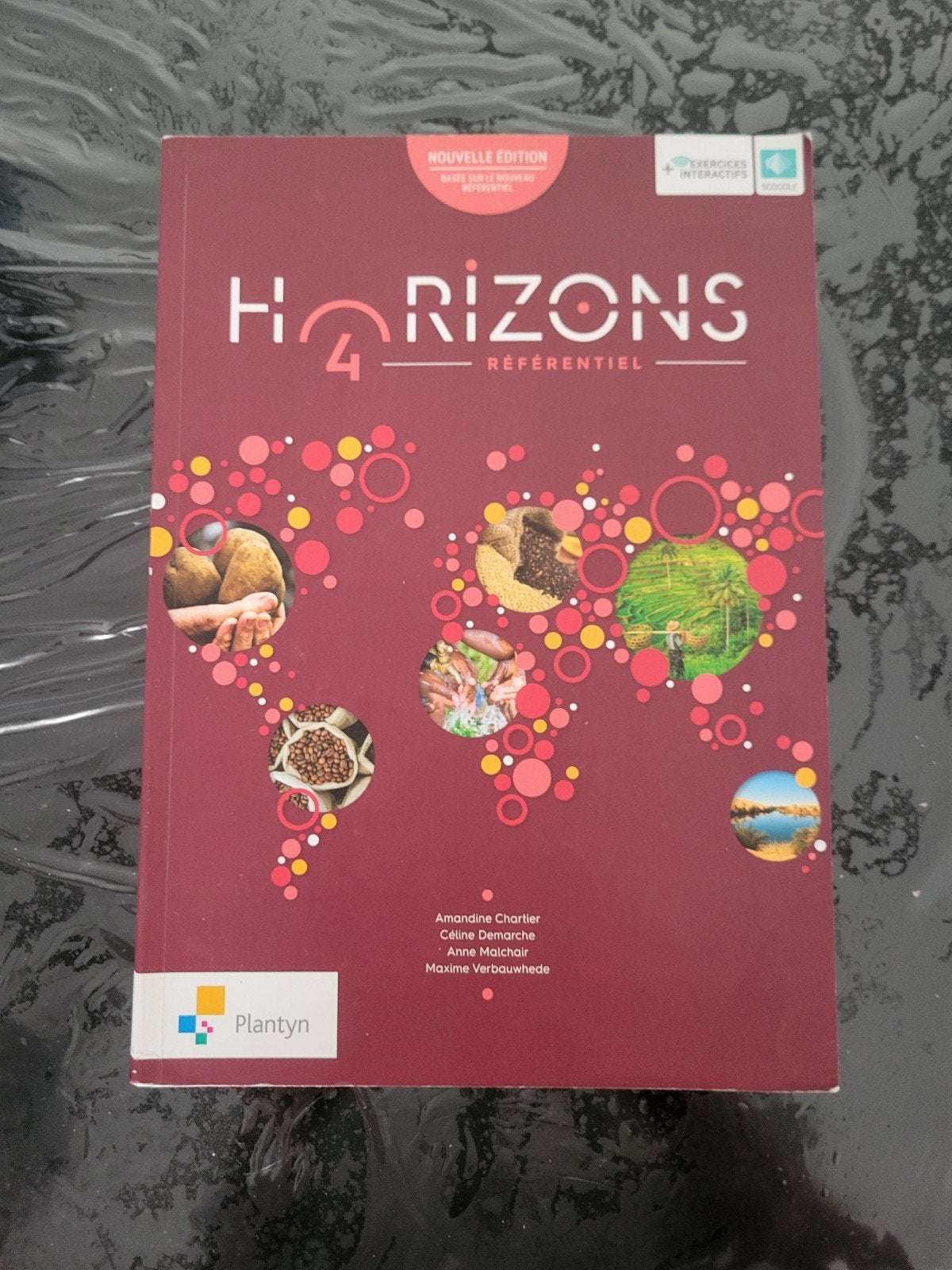 horizons référentiel, Livres, Enlèvement, Comme neuf, Secondaire, Géographie