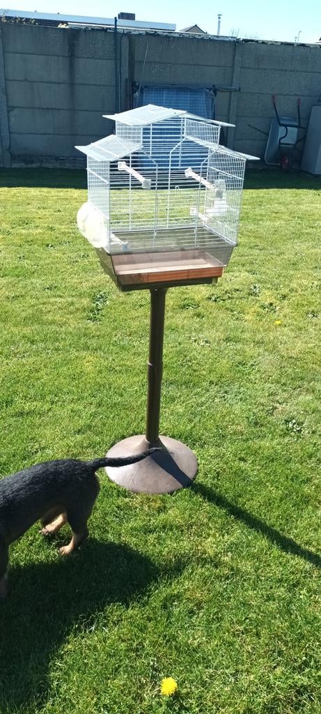 Vogelkooi 20€, Ophalen