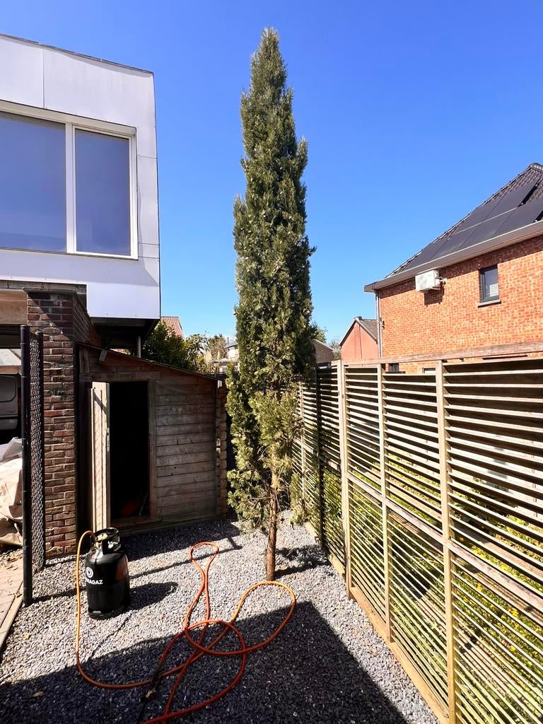 Dennenboom, Immo, Appartementen en Studio's te huur, Provincie Limburg