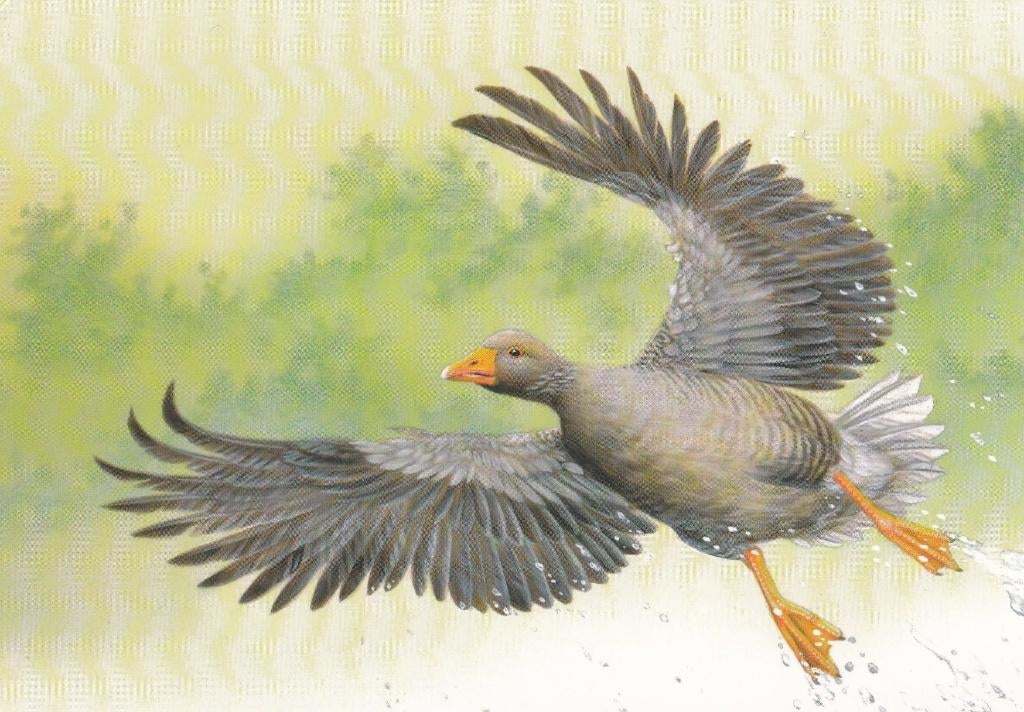Buttergoose tekening van André Buzin, Verzenden, Postfris, Zonder stempel