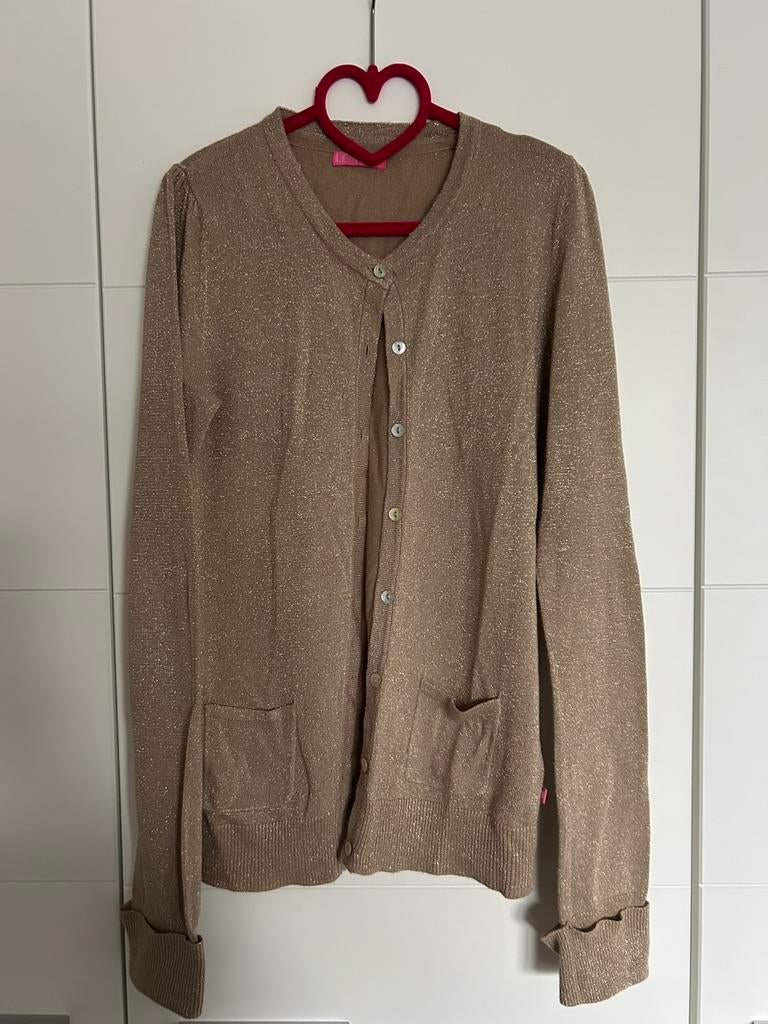 Goudkleurige gilet Lebig maat 146/152, Enfants & Bébés, Vêtements enfant | Taille 146, Enlèvement ou Envoi, Comme neuf