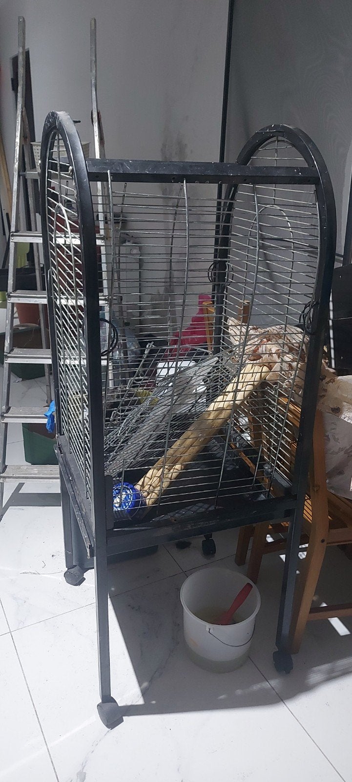cage à oiseaux, Enlèvement, Utilisé, Cage à oiseaux