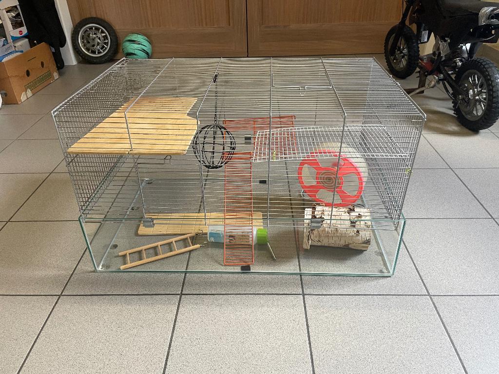 Kooi hamster, Dieren en Toebehoren, Ophalen, Kooi, Hamster