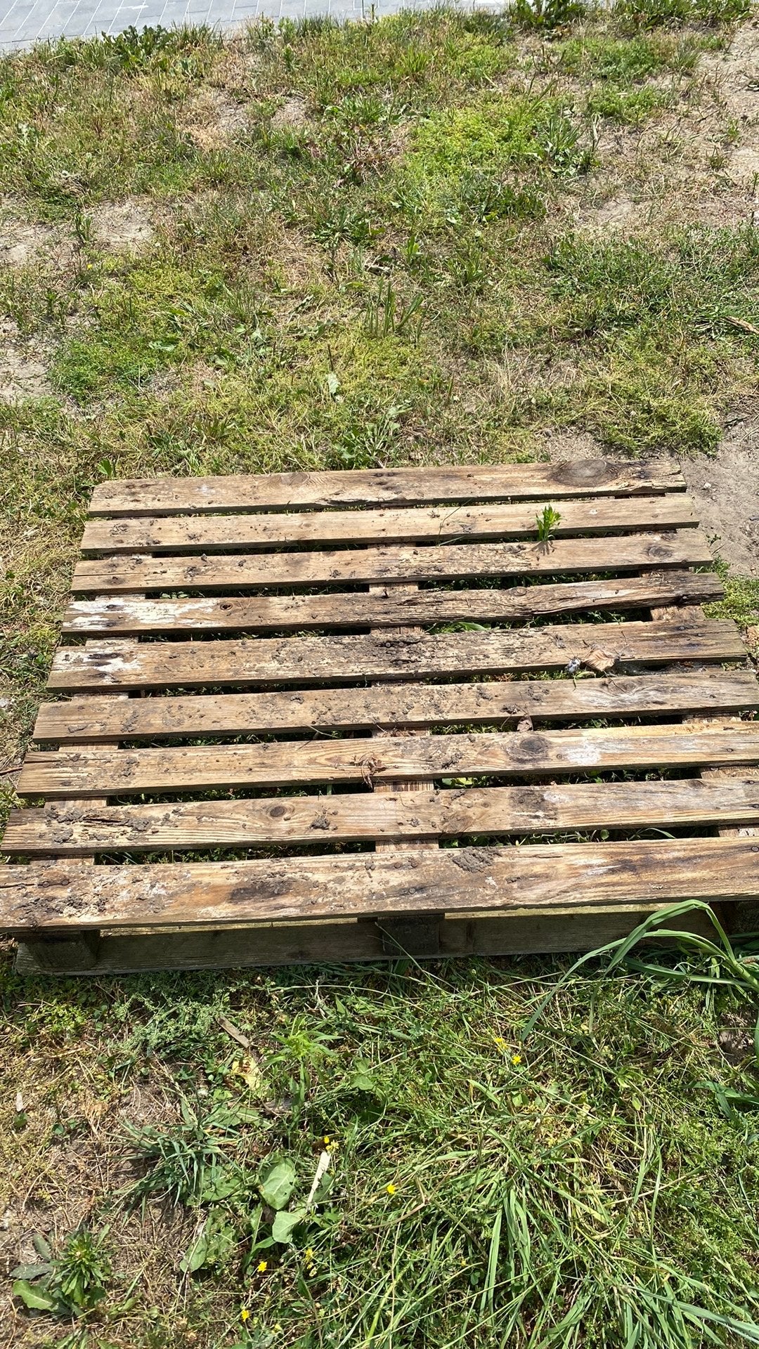 Hout, Tuin en Terras, Brandhout, Ophalen