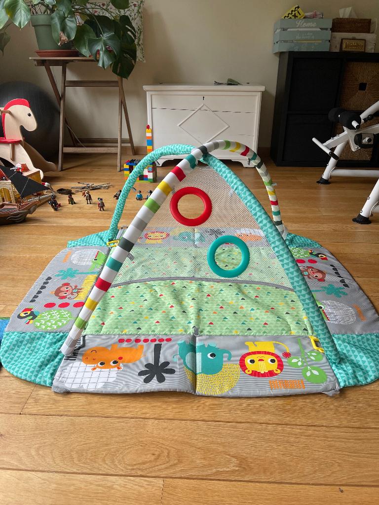 Gym pour bébé, Enlèvement, Comme neuf, Baby Gym