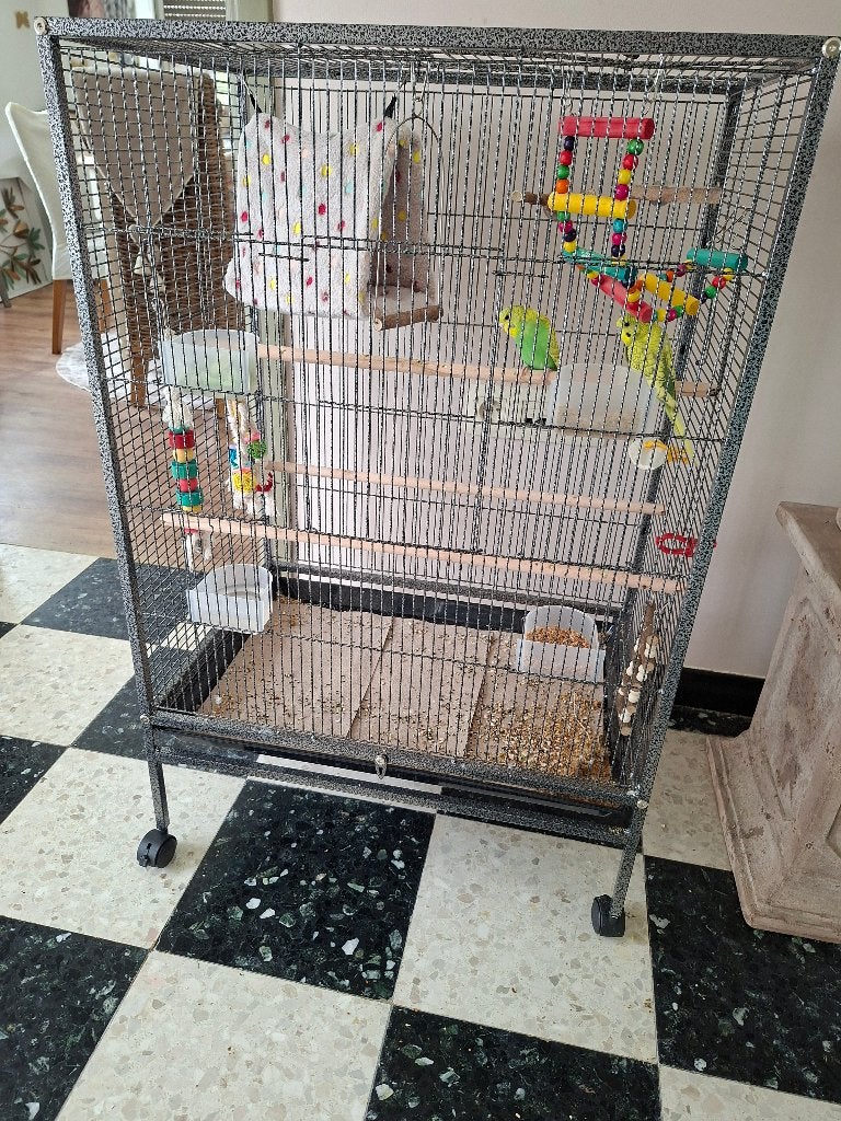 Cage, Enlèvement, Neuf, Métal, Cage à oiseaux