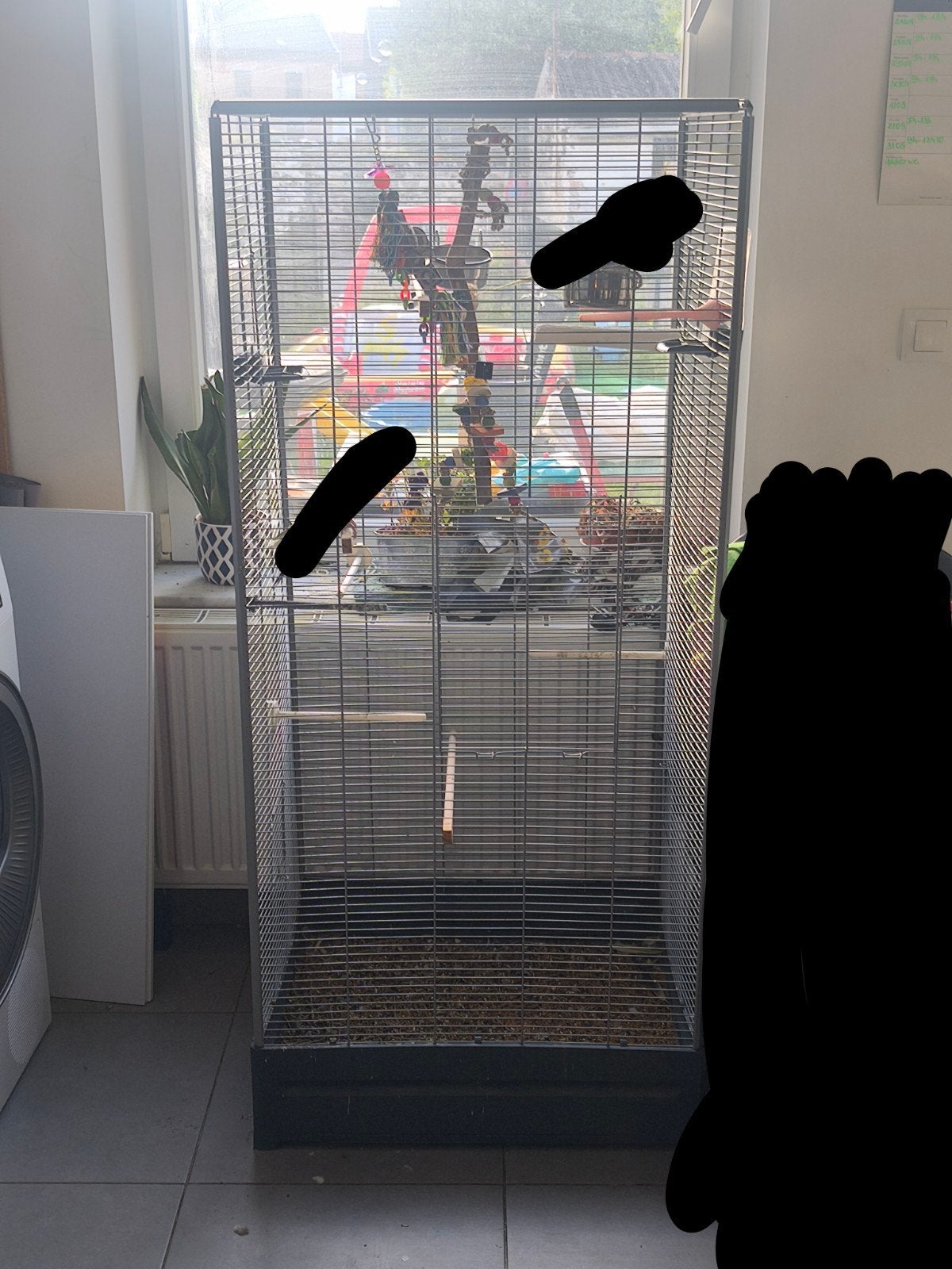 cage à perruche, Animaux & Accessoires, Oiseaux | Cages & Volières