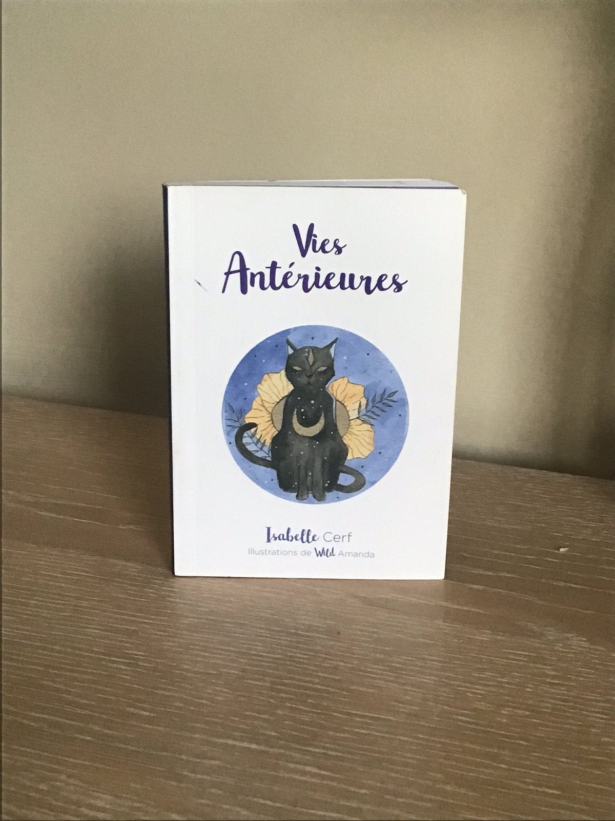 Jeux de carte « vies anterieures », Ophalen, Zo goed als nieuw