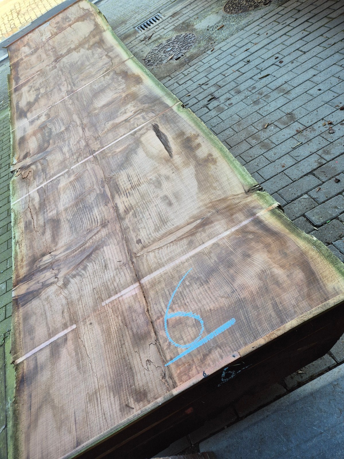 2 grote boomstambladen schaaldelen sequoia redwood, Tuin en Terras, Palen, Balken en Planken, Ophalen