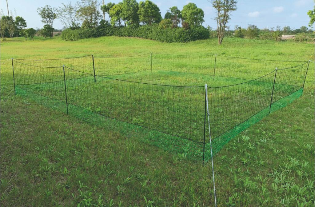 Kippenren in net 21x1.25m, Enlèvement ou Envoi, Neuf, Poulailler