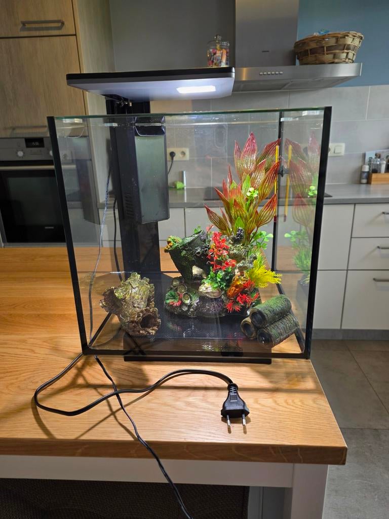 Aquarium 30L Compleet met toebehoren/producten/..., Dieren en Toebehoren, Ophalen, Filter, Superfish