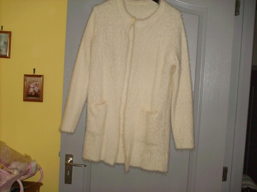 a vendre pull gilet pour dame, Héros, Ophalen of Verzenden, Nieuw, Wit