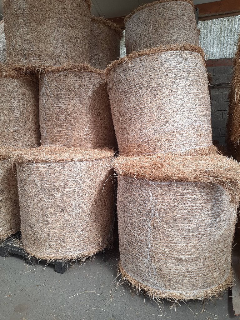 Hooi, Enlèvement, Autres espèces
