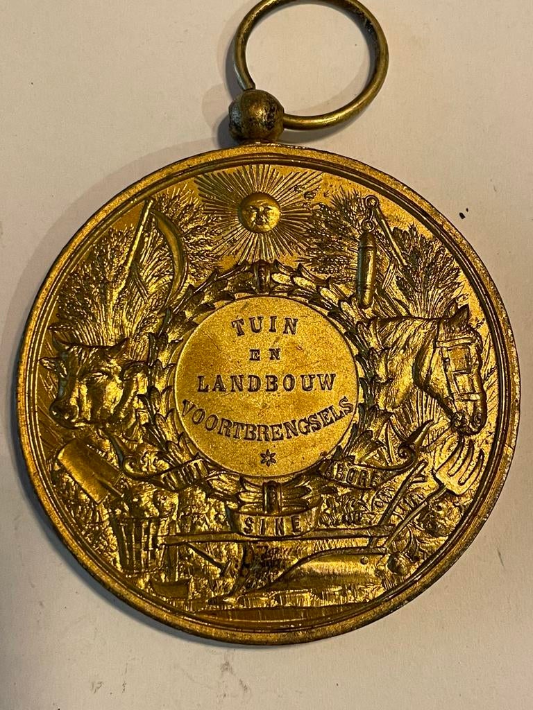 Oude medaille, Postzegels en Munten, Ophalen of Verzenden