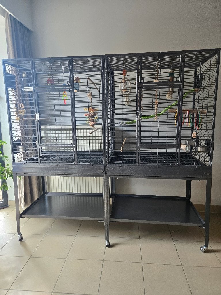 Parkietenkooi Montana Madeira Double Antiek, Dieren en Toebehoren, Ophalen, Nieuw, Vogelkooi