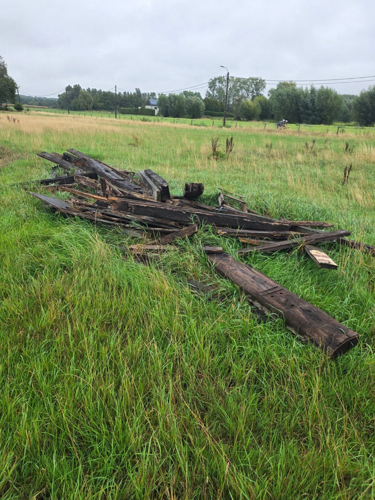hout, Ophalen of Verzenden