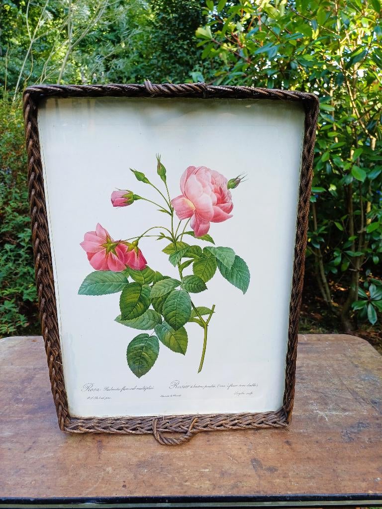 Plateau vintage avec gravure botanique de roses de Redouté, Enlèvement ou Envoi, Rectangulaire
