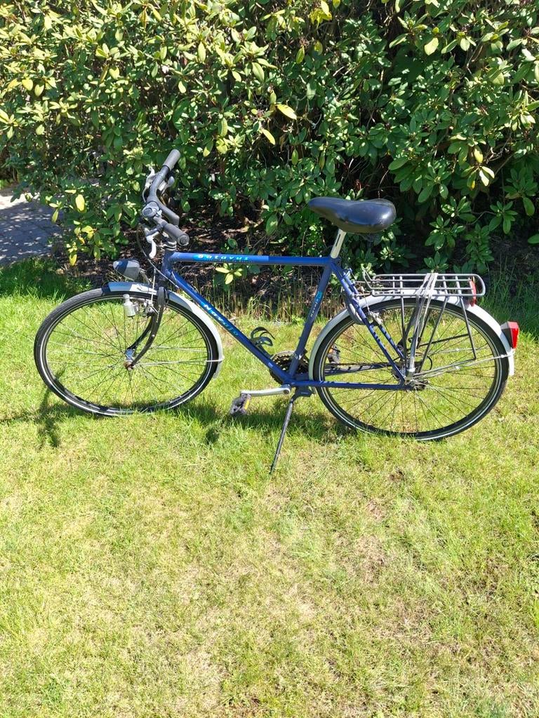 Vélo étudiant Batavus, Enlèvement, Batavus