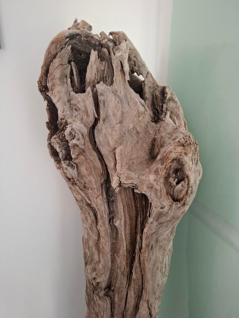 Grande Sculpture Bois Flotté naturel  140cm, Enlèvement