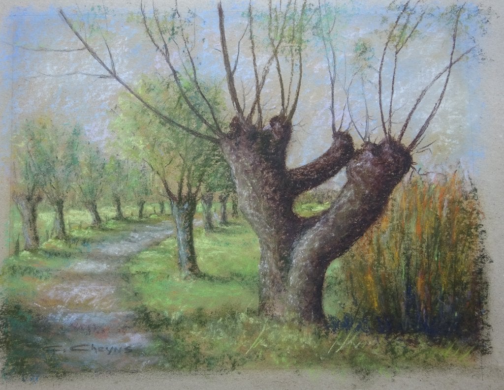 Georges Cheyns, pastel, 34 x 44 cm, Knotwilgen, Enlèvement, Peint à la main, Pastel, Papier