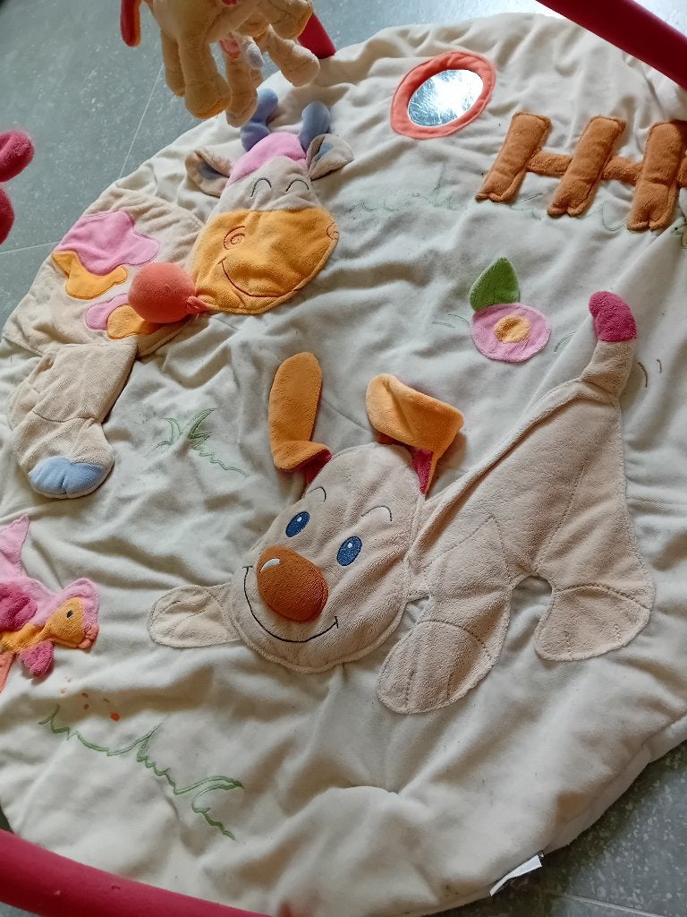 Baby gym mat, Ophalen, Gebruikt