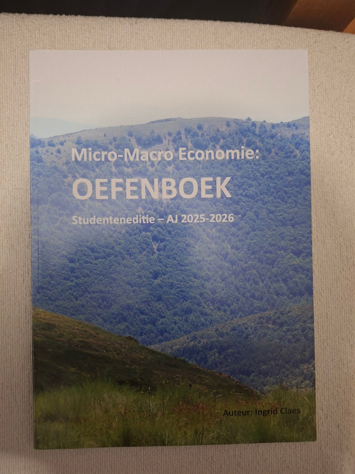 Micro-Macro Economie oefenboek, Boeken, Ophalen