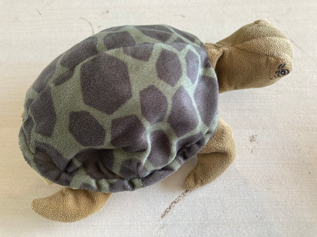 Handpop schildpad, Overige typen, Ophalen of Verzenden, Middelgroot (20 tot 80 cm), Gebruikt