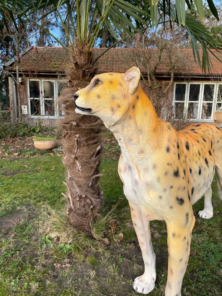 Cheetah, woonkamer, tuin, zwembad, vijver 170cm, Tuin en Terras, Tuinbeelden, Nieuw, Dierenbeeld, Kunststof, Ophalen