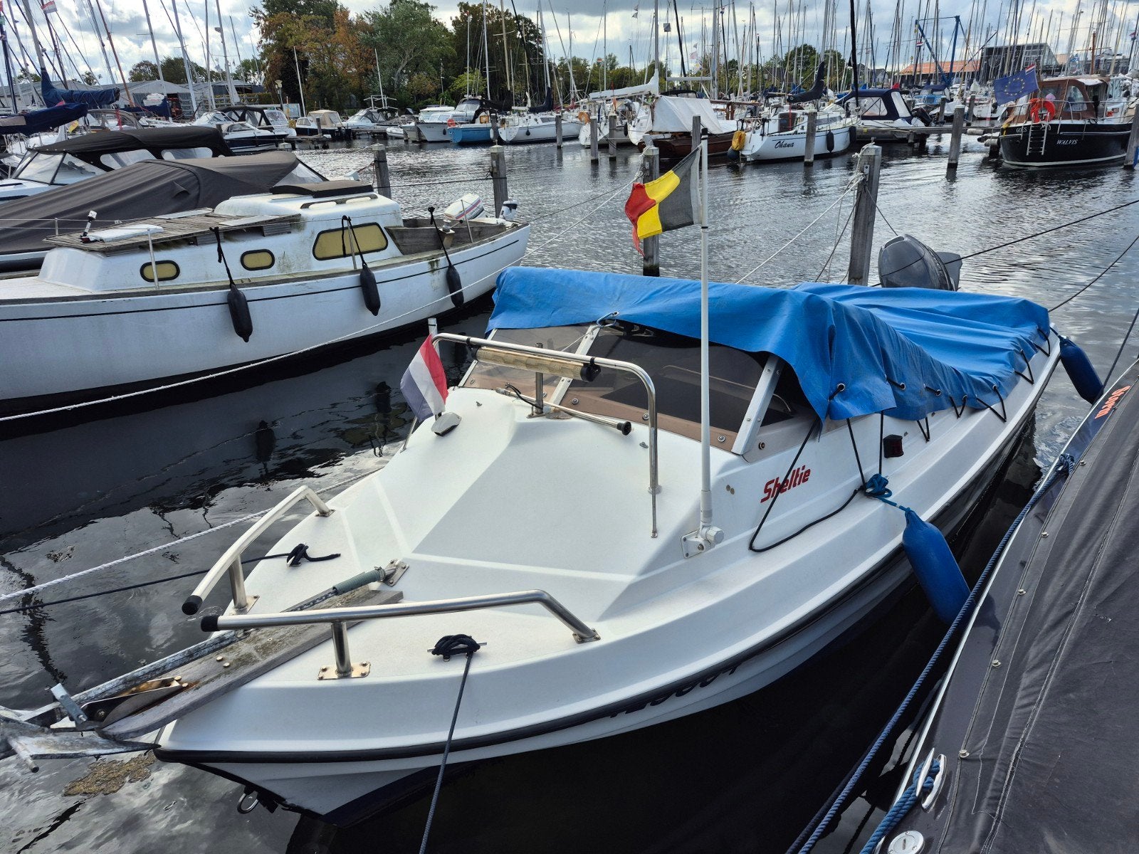shetland Sheltie 50pk met bimini, Watersport en Boten, Ophalen, Gebruikt, Composieten, Met afstandsbediening