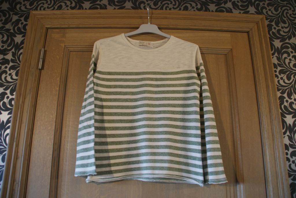 T-shirt Zara maat 140, Ophalen of Verzenden, Zo goed als nieuw, Shirt of Longsleeve