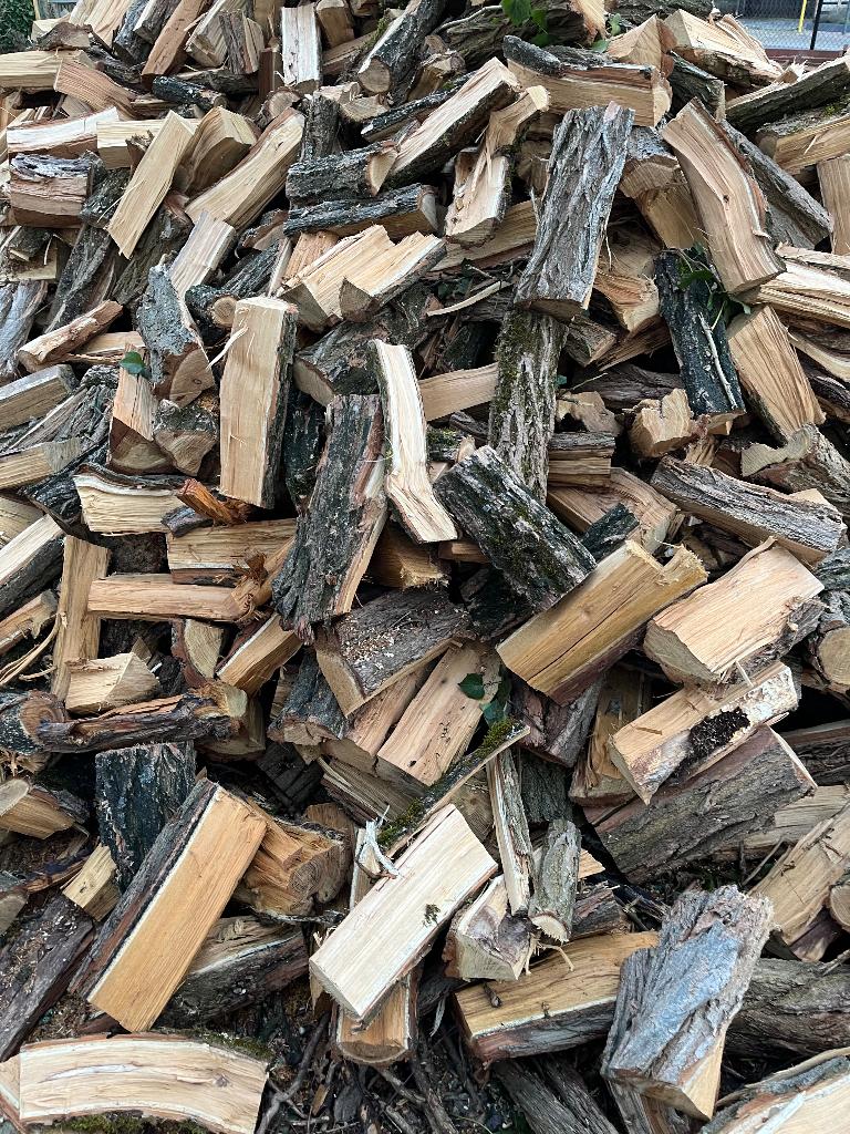 Brandhout, 6 m³ ou plus, Enlèvement, Autres essences de bois, Bûches