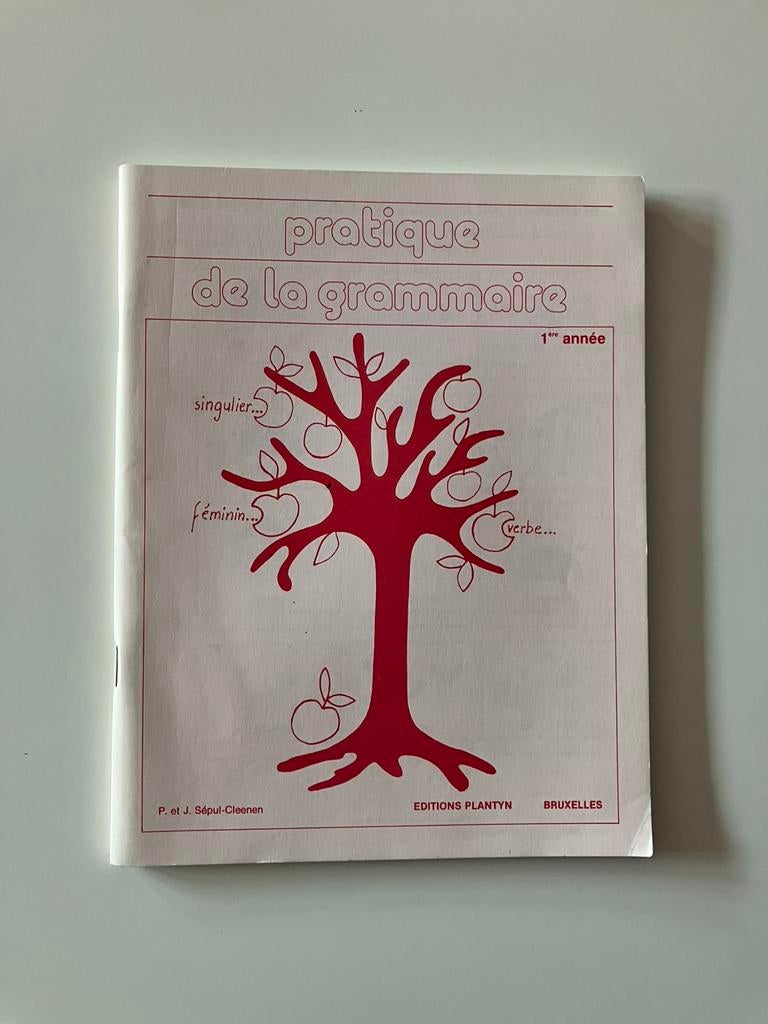 Cahier d’exercices grammaire 4e primaire, Livres, Enlèvement ou Envoi, Comme neuf, Primaire