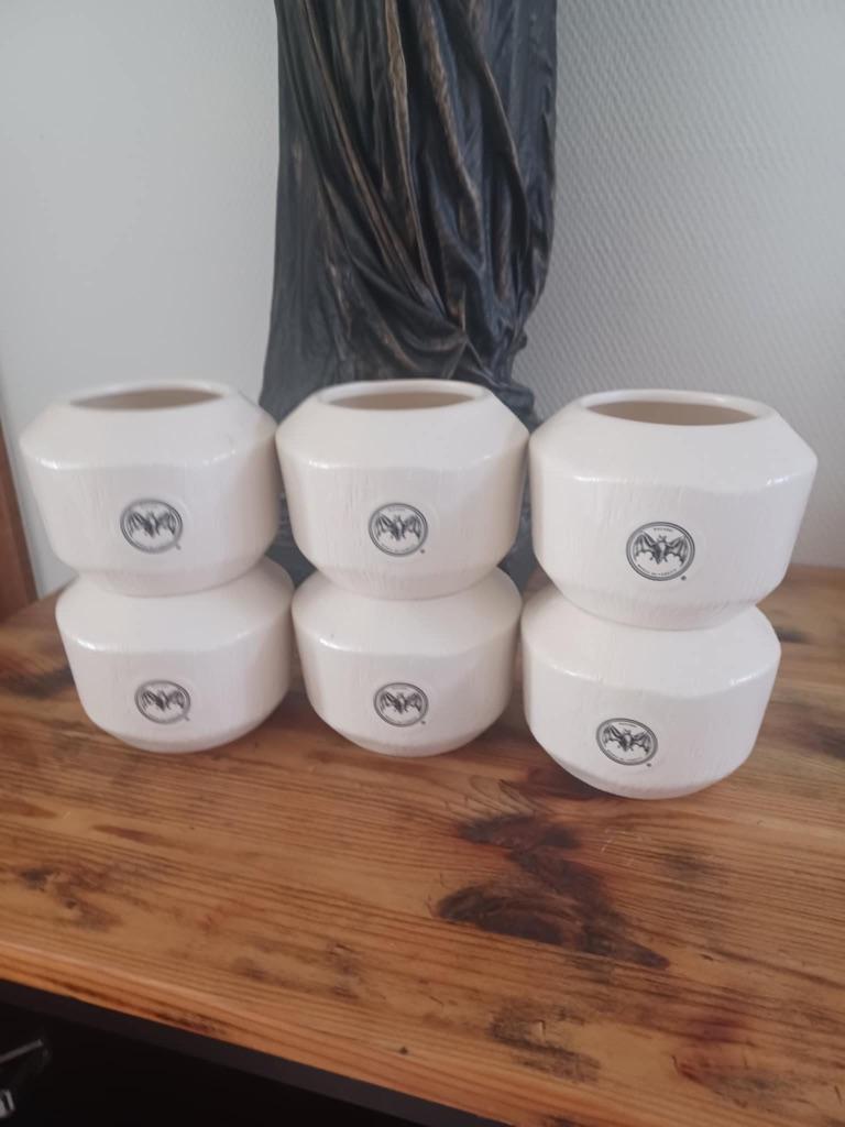 Bacardi kokosnoot glazen, Verzamelen, Ophalen, Nieuw, Overige typen