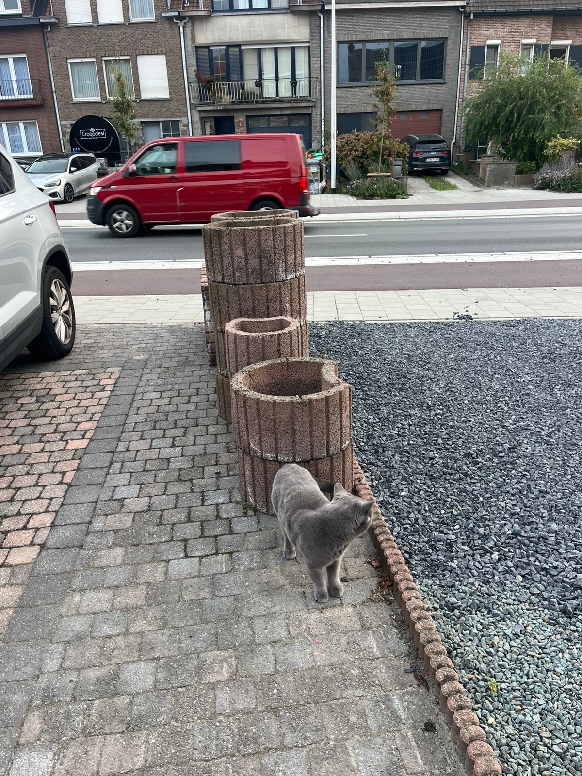 Betonnen bloembakken / plantenbakken ,stevig en robuust, Enlèvement, Comme neuf, Jardin