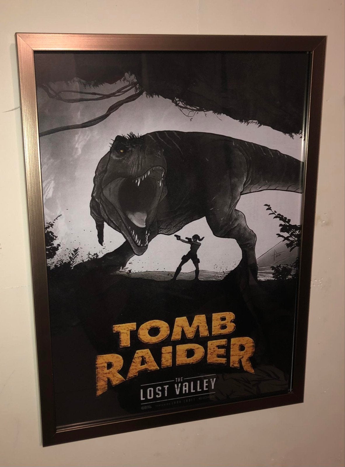tomb raider, Ophalen of Verzenden
