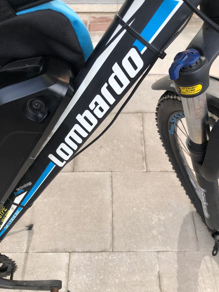 Elektrische bike, Fietsen en Brommers, Ophalen