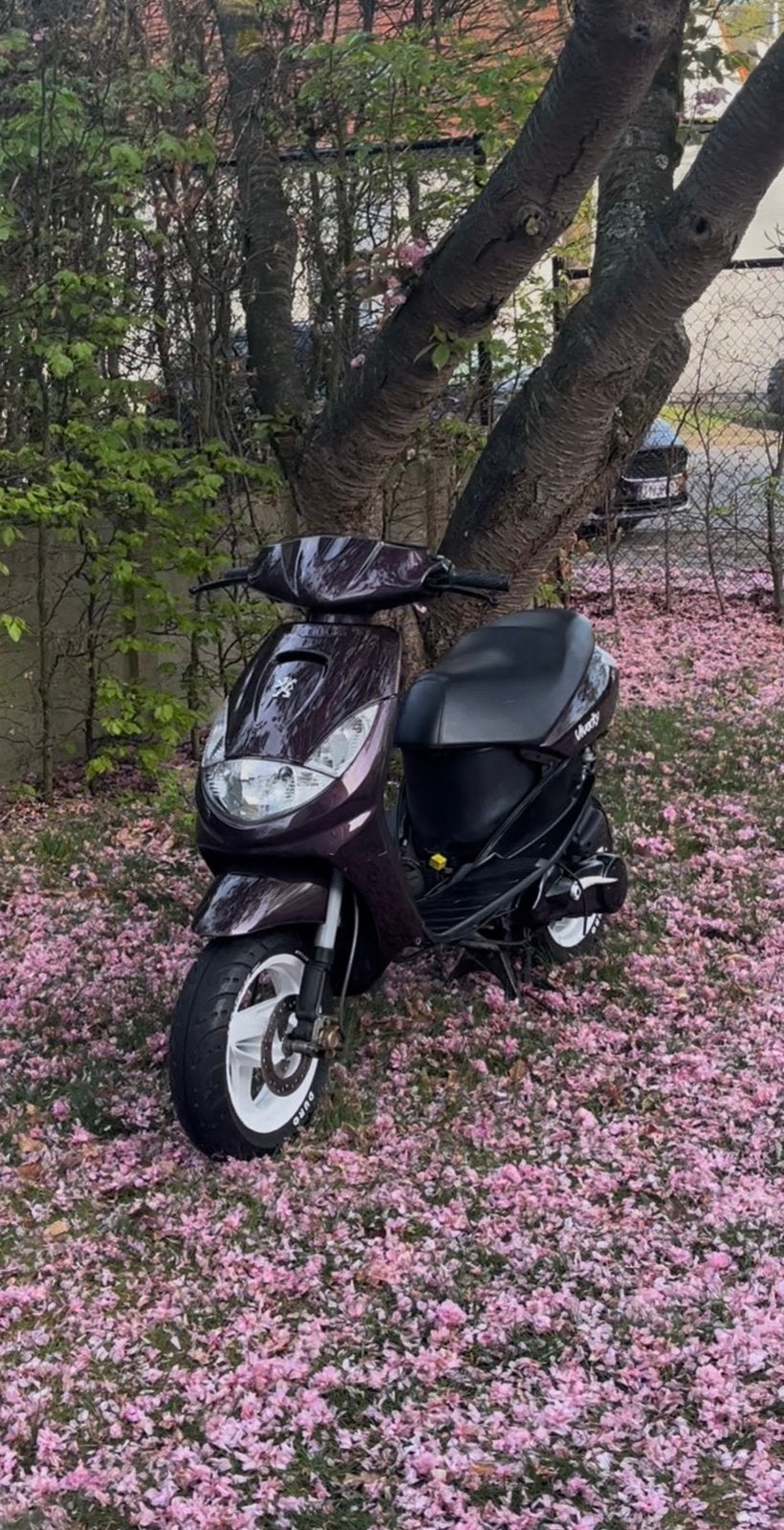 Peugeot Vivacity 2t 50cc - B klasse, Comme neuf, Classe B (45 km/h), Enlèvement, Deux-temps