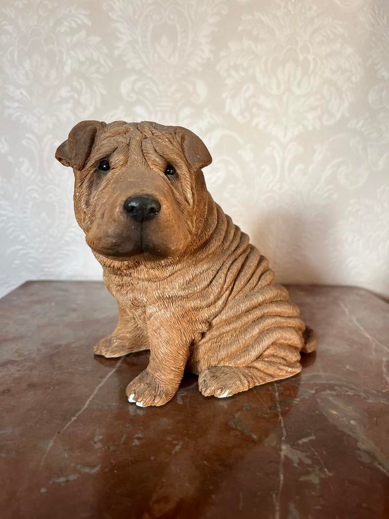 Sharpei, Enlèvement ou Envoi, Utilisé, Animal