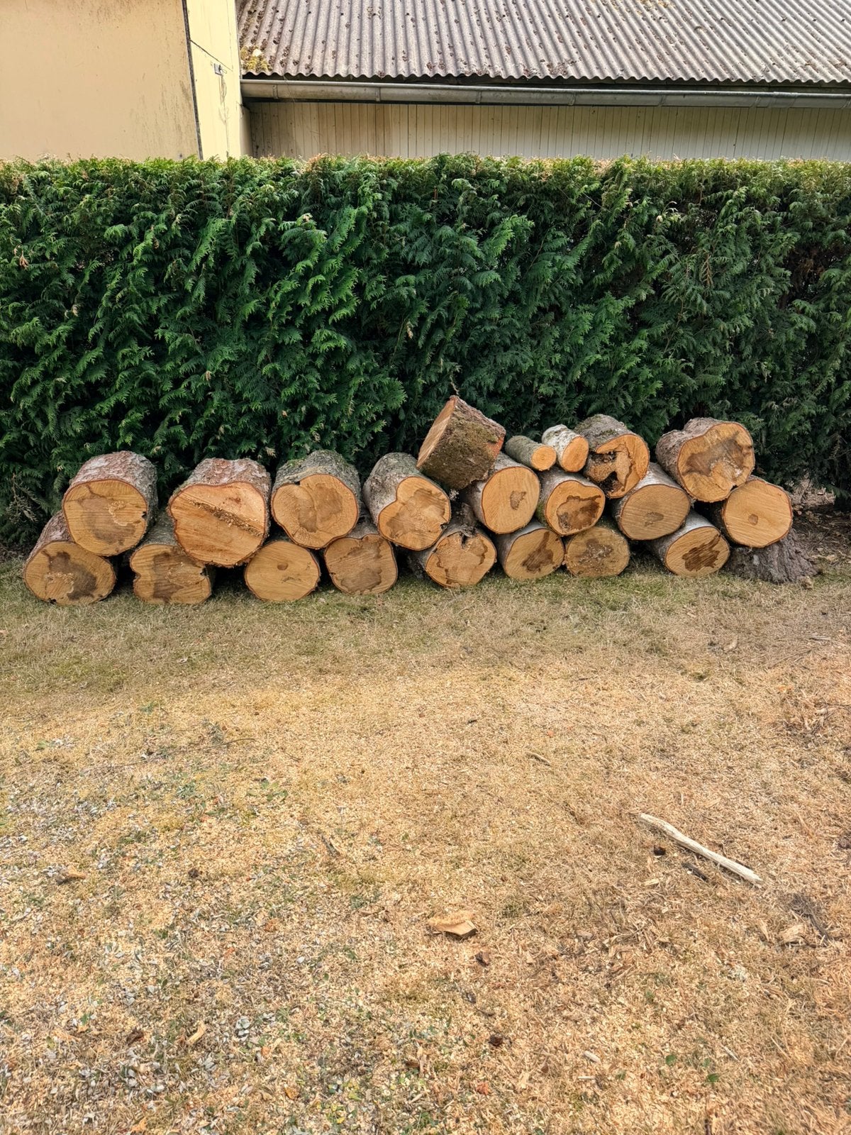 Bois de chauffage, Enlèvement, Bûches
