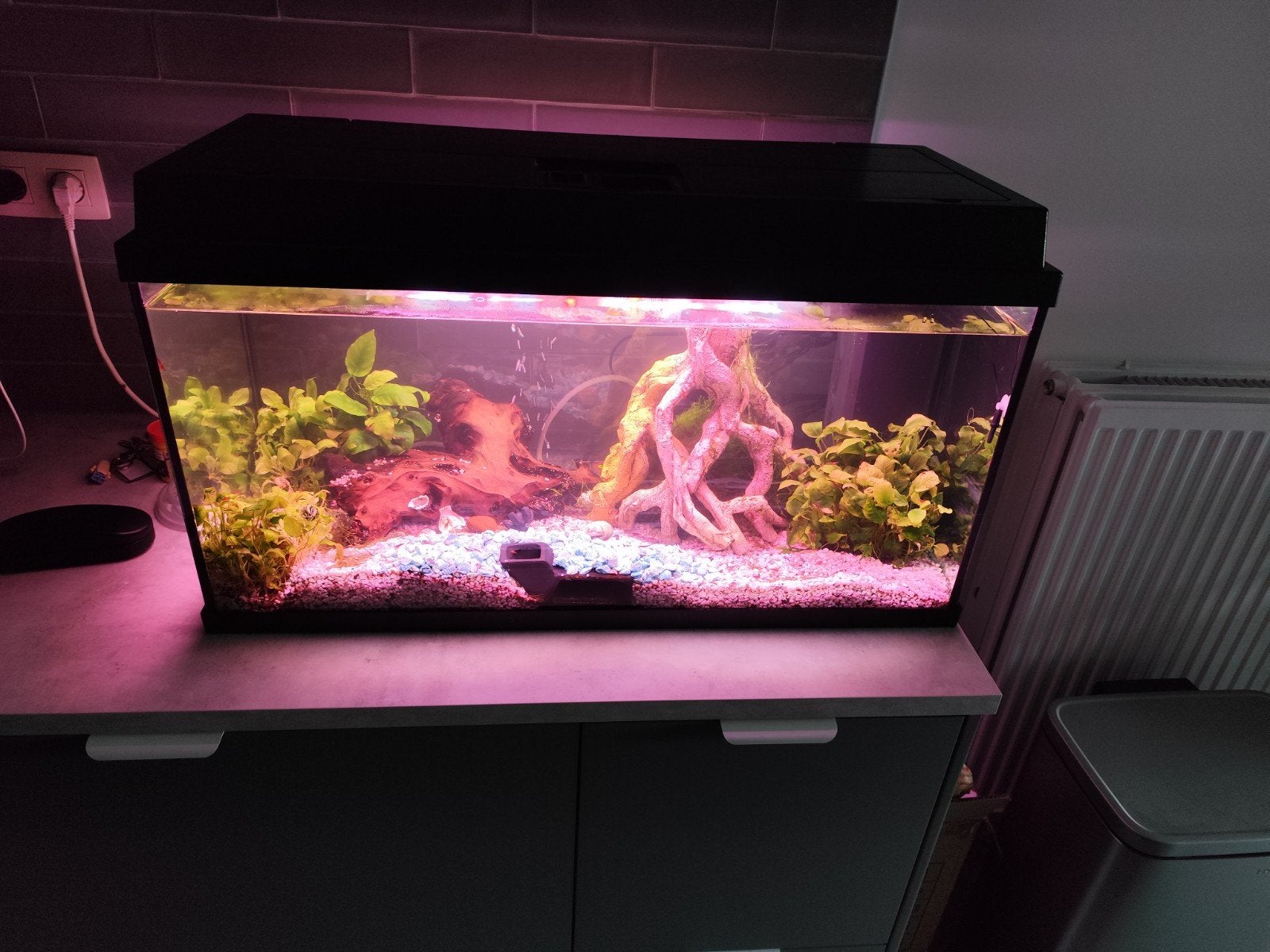 juwel Rio 125 met sera lampen, Dieren en Toebehoren, Ophalen, Juwel