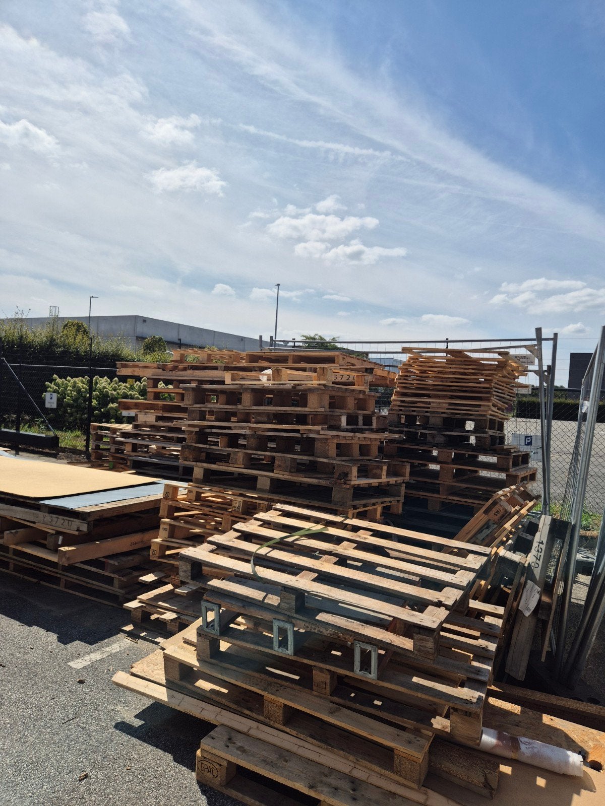 gratis brandhout, Tuin en Terras, Ophalen