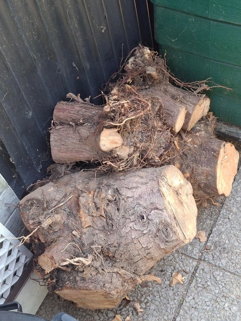 gratis brandhout, Ophalen