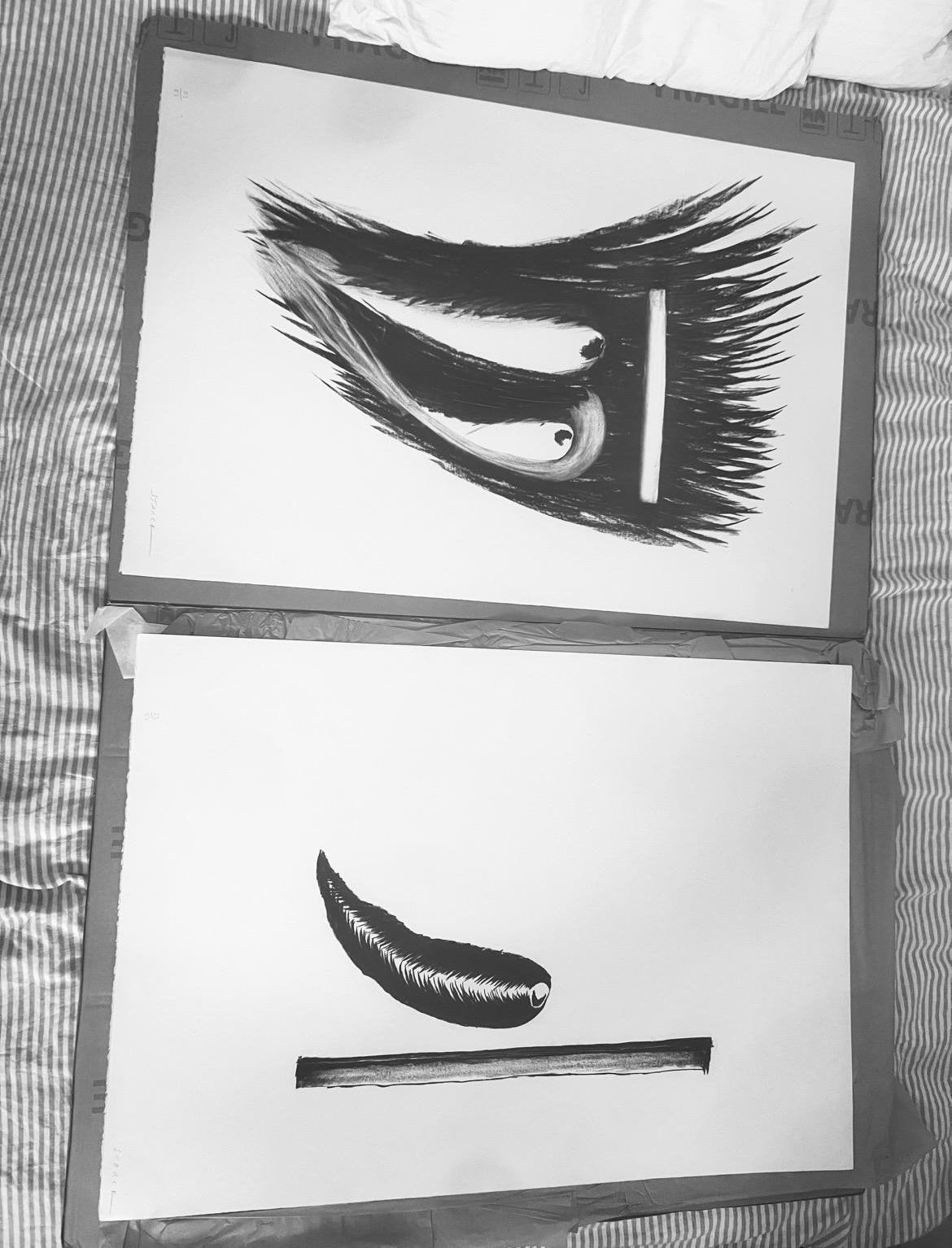 Lithographies rares de Philippe Starck – 1988, Antiquités & Art, Art | Objets design, Envoi, Fait main