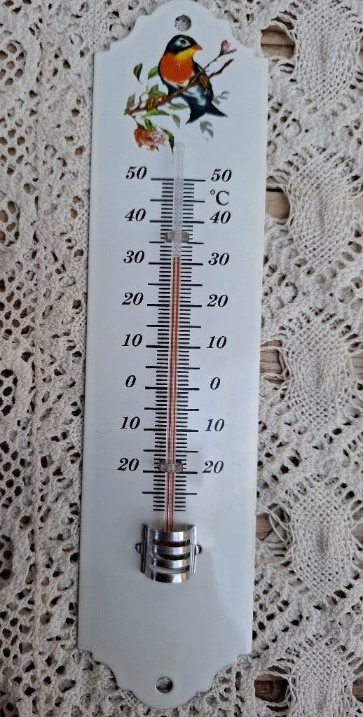 Decoratieve metalen thermometer met vogeltje, Huis en Inrichting, Woonaccessoires | Thermometers, Gebruikt, -, -, Ophalen of Verzenden