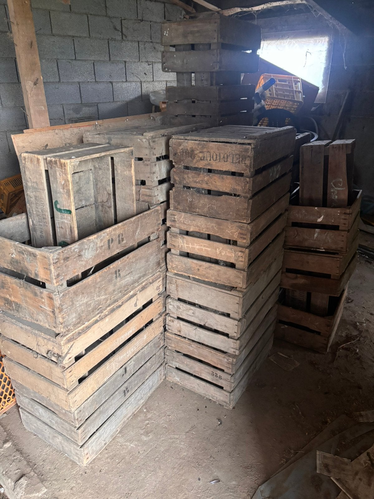 Fruitkisten ongeveer 30, Enlèvement, Utilisé