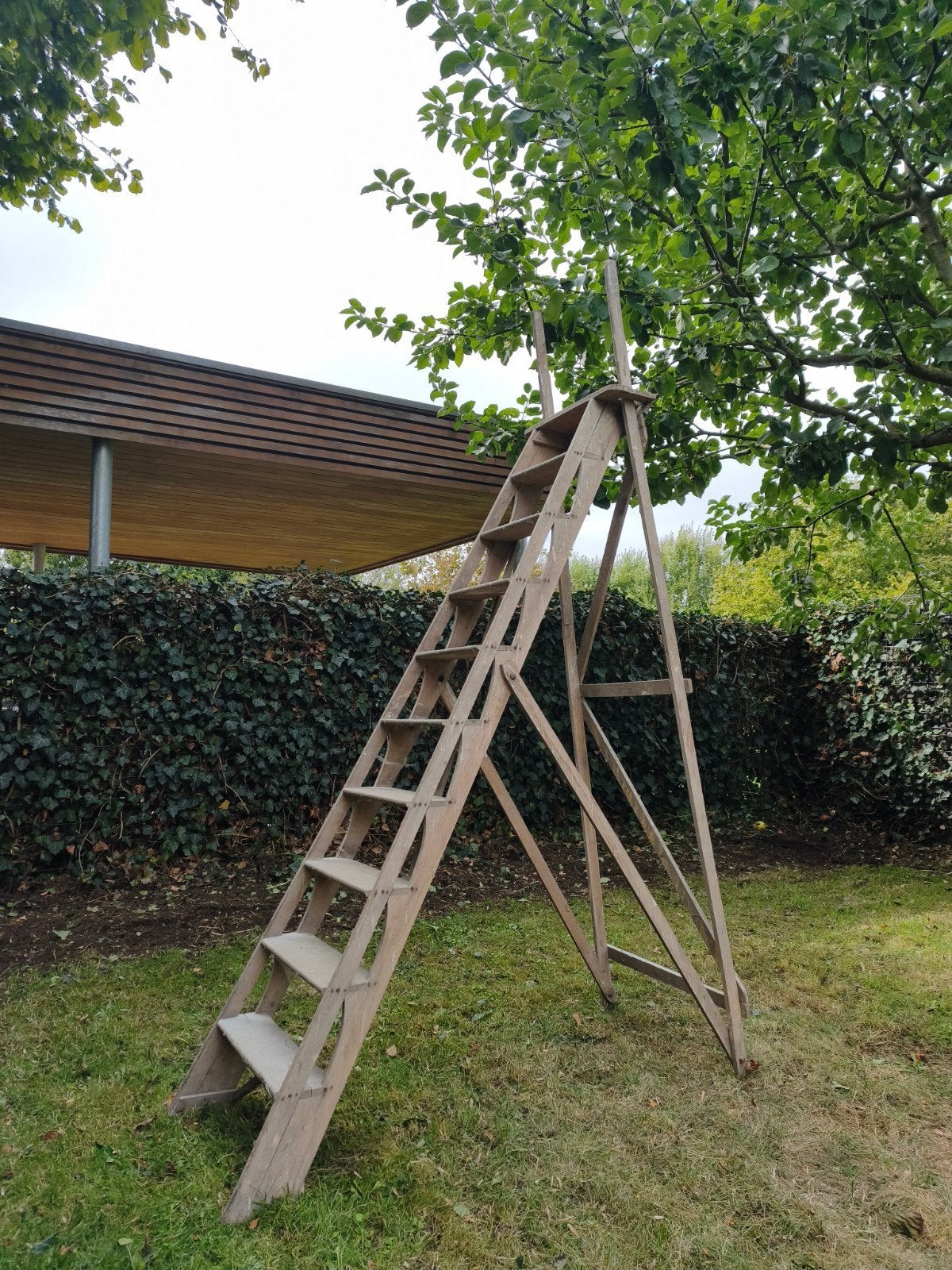 Oude houten ladder, Ophalen